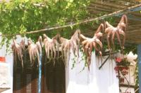 Samos