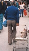Ook uw vis verdient een stevige wandeling