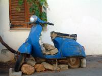 Zielig brommertje in Malia Kreta