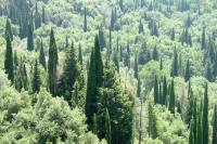 Paleokastritsa Corfu