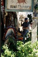 Zadelmaker op Chios