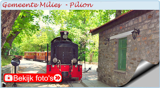 Milies Pilion