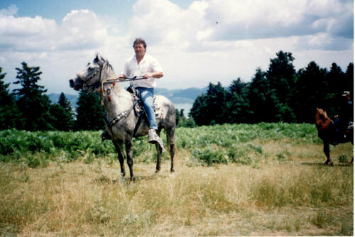 Thessalisch paard