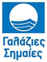 Blue Flag Logo