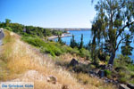 Aeginitissa | Aegina | De Griekse Gids foto 1 - Foto van De Griekse Gids