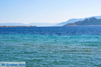 Marathonas Aegina | Griekenland | Foto 4 - Foto van https://www.grieksegids.nl/fotos/aegina/normaal/aegina-grieksegids-027.jpg