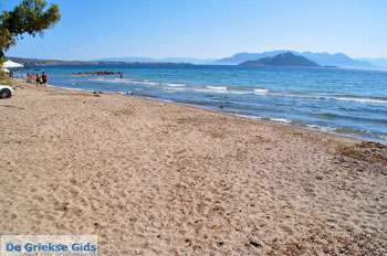 Marathonas Aegina | Griekenland | Foto 5 - Foto van https://www.grieksegids.nl/fotos/aegina/normaal/aegina-grieksegids-028.jpg