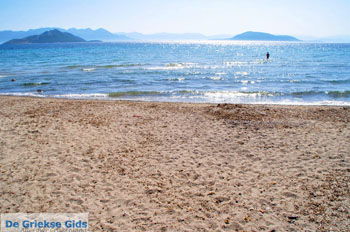 Marathonas Aegina | Griekenland | Foto 6 - Foto van https://www.grieksegids.nl/fotos/aegina/normaal/aegina-grieksegids-029.jpg