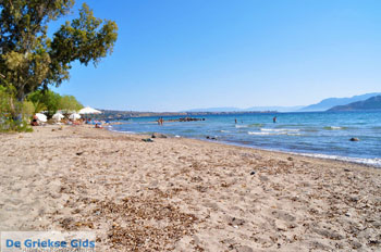 Marathonas Aegina | Griekenland | Foto 8 - Foto van https://www.grieksegids.nl/fotos/aegina/normaal/aegina-grieksegids-031.jpg