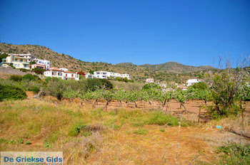 Marathonas Aegina | Griekenland | Foto 12 - Foto van https://www.grieksegids.nl/fotos/aegina/normaal/aegina-grieksegids-035.jpg