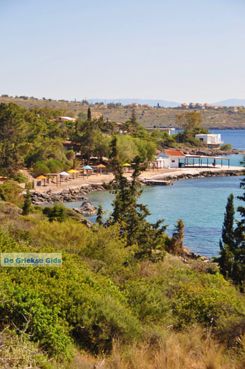 Aeginitissa | Aegina | De Griekse Gids foto 4 - Foto van https://www.grieksegids.nl/fotos/aegina/normaal/aegina-grieksegids-043.jpg