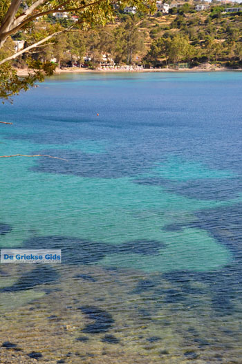 Aeginitissa | Aegina | De Griekse Gids foto 7 - Foto van https://www.grieksegids.nl/fotos/aegina/normaal/aegina-grieksegids-046.jpg