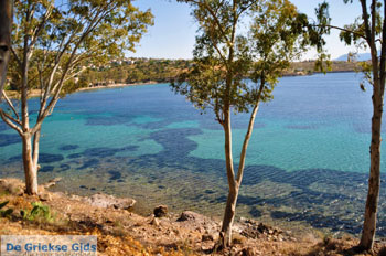 Aeginitissa | Aegina | De Griekse Gids foto 8 - Foto van https://www.grieksegids.nl/fotos/aegina/normaal/aegina-grieksegids-047.jpg