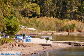 Aeginitissa | Aegina | De Griekse Gids foto 9 - Foto van https://www.grieksegids.nl/fotos/aegina/normaal/aegina-grieksegids-048.jpg