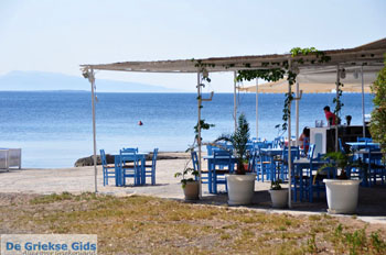 Aeginitissa | Aegina | De Griekse Gids foto 12 - Foto van De Griekse Gids