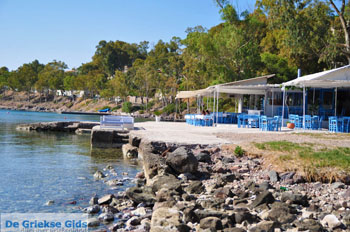 Aeginitissa | Aegina | De Griekse Gids foto 13 - Foto van https://www.grieksegids.nl/fotos/aegina/normaal/aegina-grieksegids-052.jpg