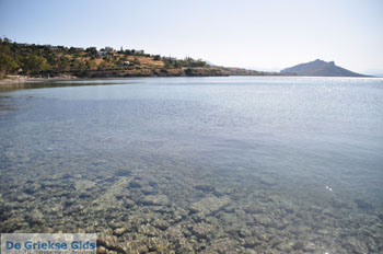 Aeginitissa | Aegina | De Griekse Gids foto 15 - Foto van https://www.grieksegids.nl/fotos/aegina/normaal/aegina-grieksegids-054.jpg