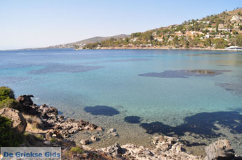 Aeginitissa | Aegina | De Griekse Gids foto 20 - Foto van https://www.grieksegids.nl/fotos/aegina/normaal/aegina-grieksegids-059.jpg