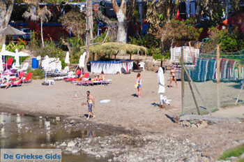 Aeginitissa | Aegina | De Griekse Gids foto 22 - Foto van https://www.grieksegids.nl/fotos/aegina/normaal/aegina-grieksegids-061.jpg