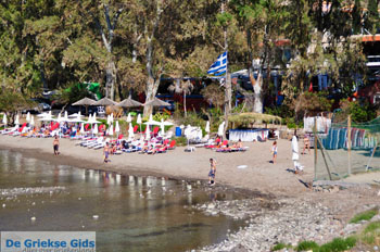 Aeginitissa | Aegina | De Griekse Gids foto 23 - Foto van https://www.grieksegids.nl/fotos/aegina/normaal/aegina-grieksegids-062.jpg