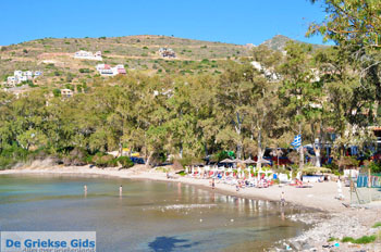 Aeginitissa | Aegina | De Griekse Gids foto 25 - Foto van https://www.grieksegids.nl/fotos/aegina/normaal/aegina-grieksegids-064.jpg