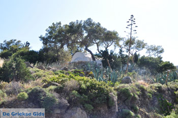 Aeginitissa | Aegina | De Griekse Gids foto 26 - Foto van https://www.grieksegids.nl/fotos/aegina/normaal/aegina-grieksegids-065.jpg