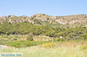 Palaiochora | Aegina | De Griekse Gids foto 2 - Foto van https://www.grieksegids.nl/fotos/aegina/normaal/aegina-grieksegids-105.jpg