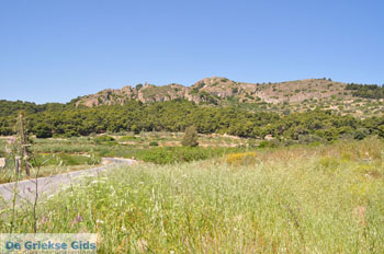 Palaiochora | Aegina | De Griekse Gids foto 3 - Foto van https://www.grieksegids.nl/fotos/aegina/normaal/aegina-grieksegids-106.jpg