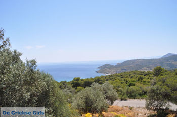 Uitzicht op baai bij Aghia Marina | Aegina | De Griekse Gids - Foto van https://www.grieksegids.nl/fotos/aegina/normaal/aegina-grieksegids-137.jpg