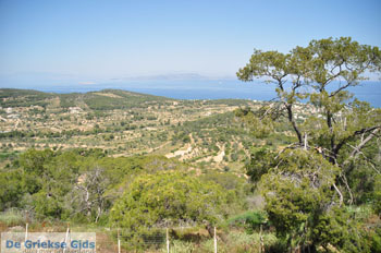 Afaia | Aegina | De Griekse Gids foto 15 - Foto van https://www.grieksegids.nl/fotos/aegina/normaal/aegina-grieksegids-152.jpg