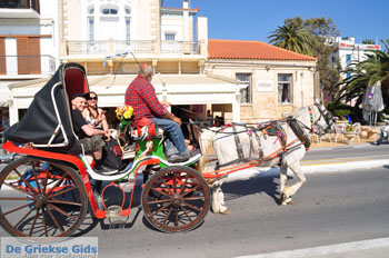 Aegina stad | Griekenland 28 - Foto van https://www.grieksegids.nl/fotos/aegina/normaal/aegina-grieksegids-186.jpg