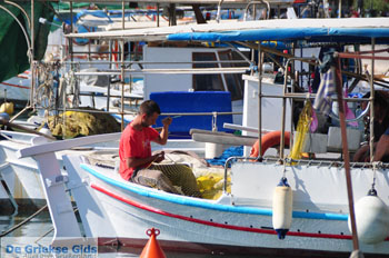 Aegina stad | Griekenland 37 - Foto van https://www.grieksegids.nl/fotos/aegina/normaal/aegina-grieksegids-195.jpg