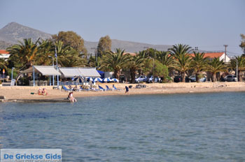 Aegina stad | Griekenland 42 - Foto van https://www.grieksegids.nl/fotos/aegina/normaal/aegina-grieksegids-200.jpg