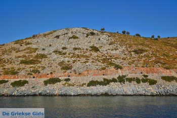 Agathonissi - Griekse Gids Foto 64 - Foto van https://www.grieksegids.nl/fotos/agathonissi/normaal/agathonissi-064.jpg