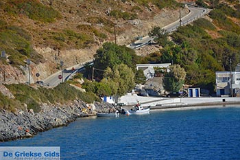 Agathonissi - Griekse Gids Foto 65 - Foto van https://www.grieksegids.nl/fotos/agathonissi/normaal/agathonissi-065.jpg