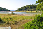 Meertje tussen Limenaria en Aponissos | Agkistri Griekenland | Foto 1 - Foto van De Griekse Gids