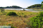 Meertje tussen Limenaria en Aponissos | Agkistri Griekenland | Foto 2 - Foto van De Griekse Gids