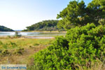 Meertje tussen Limenaria en Aponissos | Agkistri Griekenland | Foto 4 - Foto van De Griekse Gids