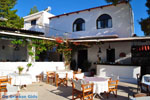Terras Agistri Club | Agkistri Griekenland | foto 1 - Foto van De Griekse Gids