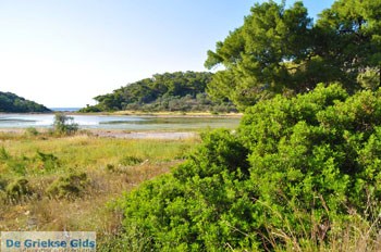 Meertje tussen Limenaria en Aponissos | Agkistri Griekenland | Foto 4 - Foto van https://www.grieksegids.nl/fotos/agkistri-griekenland/normaal/agkistri-grieksegids-007.jpg