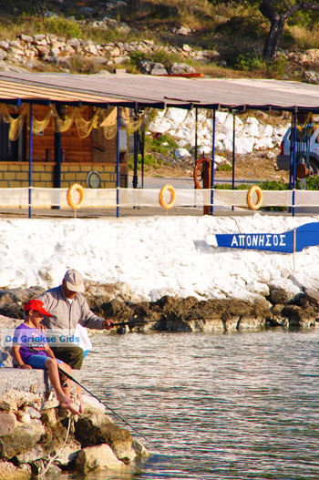 Aponissos | Agkistri Griekenland | Foto 11 - Foto van https://www.grieksegids.nl/fotos/agkistri-griekenland/normaal/agkistri-grieksegids-018.jpg