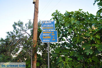 Van Limenaria naar Megalochori | Agkistri Griekenland - Foto van https://www.grieksegids.nl/fotos/agkistri-griekenland/normaal/agkistri-grieksegids-030.jpg