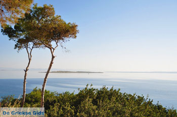 Prachtig Agkistri | Griekenland 2 - Foto van https://www.grieksegids.nl/fotos/agkistri-griekenland/normaal/agkistri-grieksegids-075.jpg