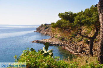 Prachtig Agkistri | Griekenland 3 - Foto van https://www.grieksegids.nl/fotos/agkistri-griekenland/normaal/agkistri-grieksegids-076.jpg