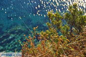 Prachtig Agkistri | Griekenland 2 - Foto van https://www.grieksegids.nl/fotos/agkistri-griekenland/normaal/agkistri-grieksegids-079.jpg