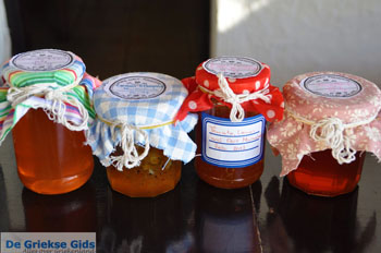 Agistri Club | Agkistri Griekenland | foto 4 - Foto van https://www.grieksegids.nl/fotos/agkistri-griekenland/normaal/agkistri-grieksegids-081.jpg