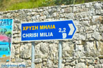 Chrisi Milia | Alonissos Sporaden Griekenland foto 1 - Foto van De Griekse Gids