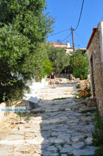 Alonissos stad (Chora) | Sporaden Griekenland foto 87 - Foto van De Griekse Gids