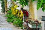 Alonissos stad (Chora) | Sporaden Griekenland foto 93 - Foto van De Griekse Gids