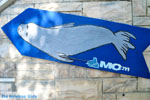 MOM, bescherming Monachus-Monachus zeehonden Alonissos | Sporaden foto 1 - Foto van De Griekse Gids